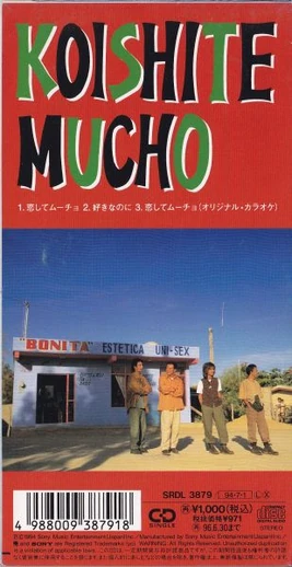 Koishite mucho 2