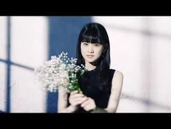 Elder Flower Hatsukoi Colors Jpop Wiki Fandom