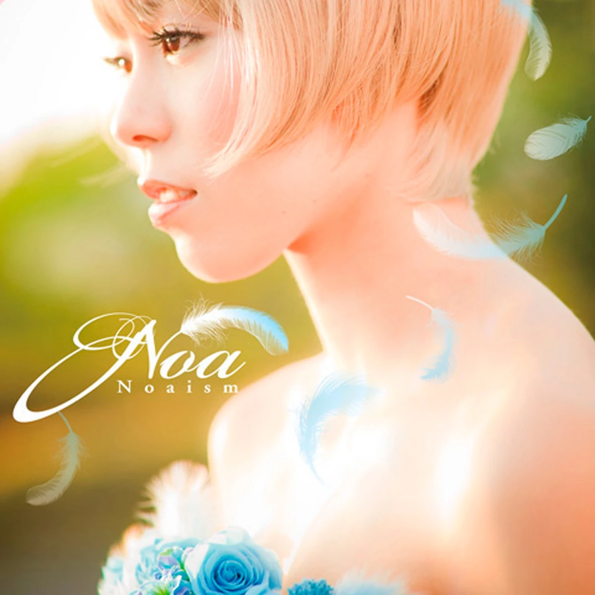 Noaism Jpop Wiki Fandom