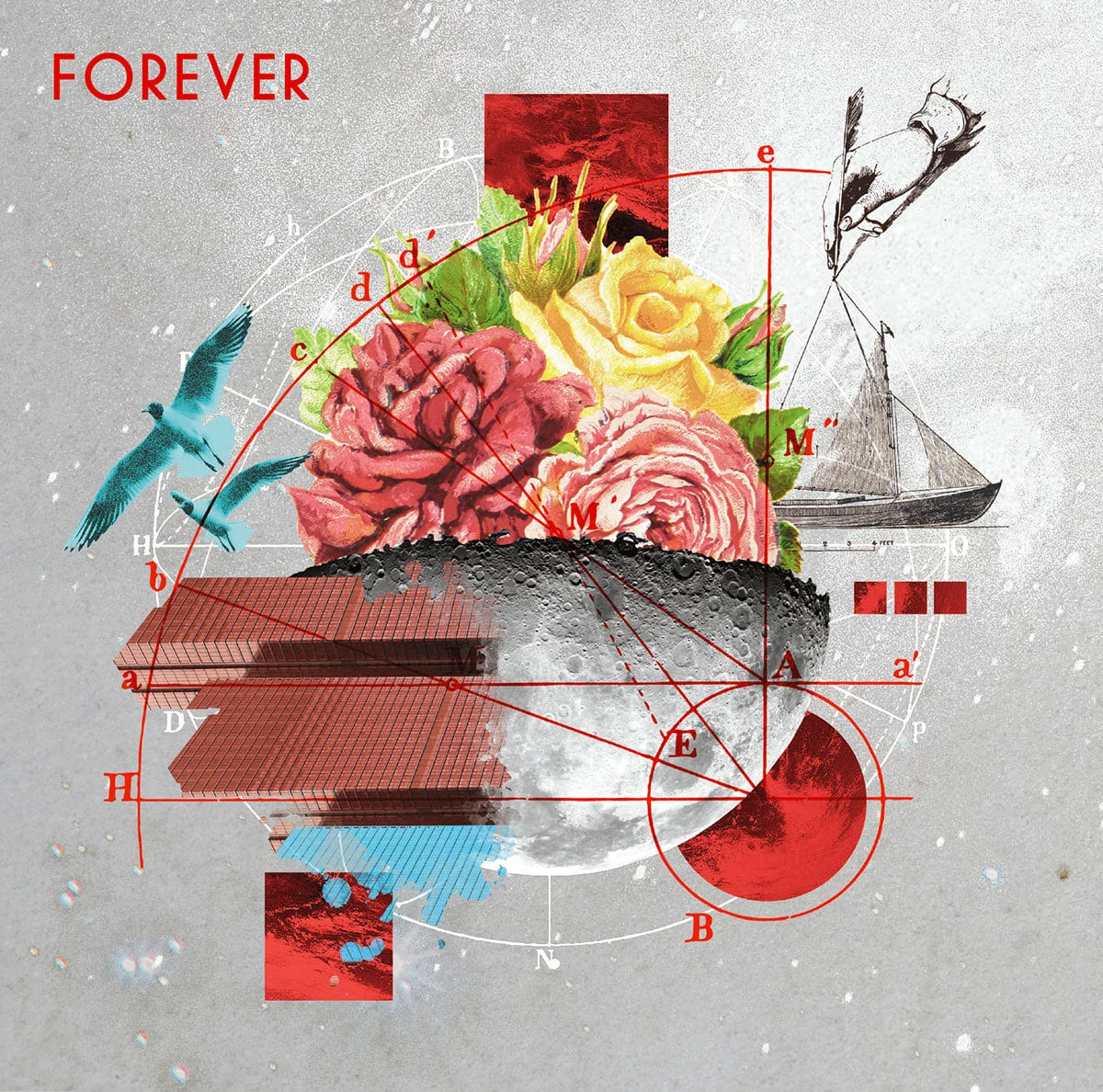 FOREVER | Jpop Wiki | Fandom