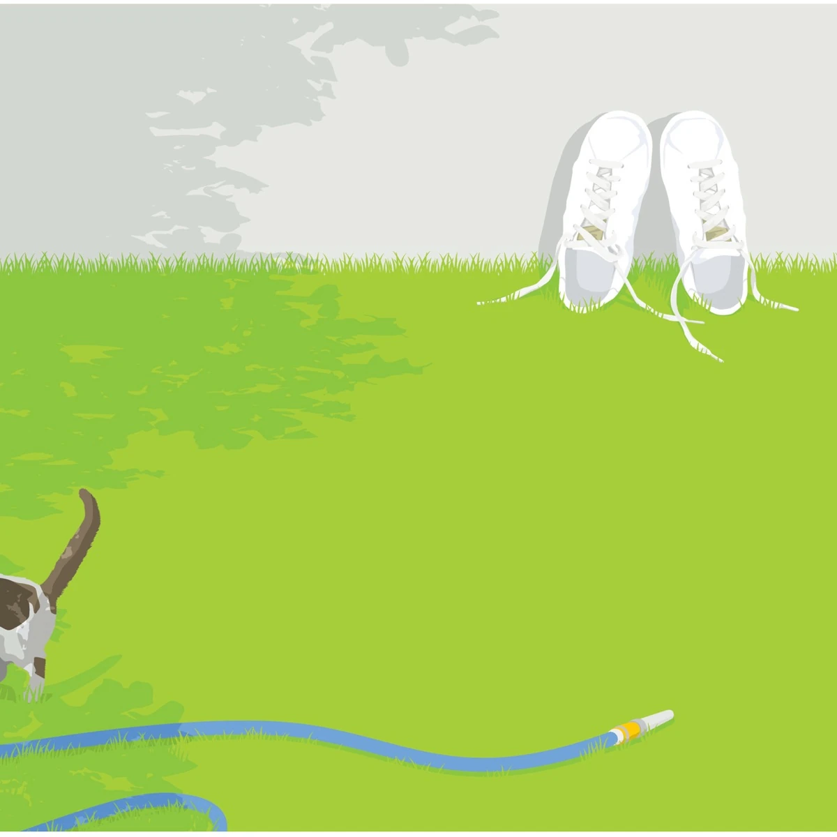 Taiyou no Nioi Jpop Wiki Fandom