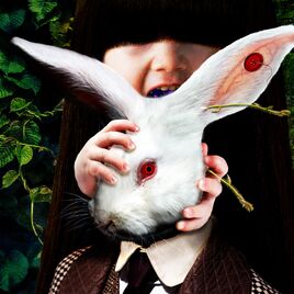 Migmashelter alice