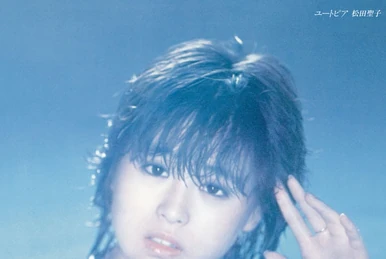 Windy Shadow | Jpop Wiki | Fandom