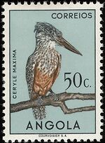 Angola 1951 Birds from Angola e