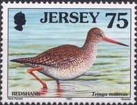 Jersey 1997 Seabirds and waders g