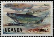 Uganda 1985 Freshwater Fishes j