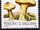 Andorra-Spanish 1990 Local Mushrooms