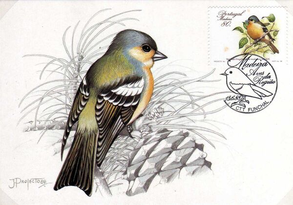 Madeira 1988 Birds from Madeira Island MC3