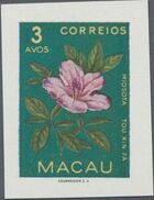 Macao 1953 Indigenous Flowers ba