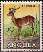 Angola 1953 Animals from Angola f