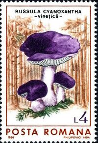 Romania 1986 Mushrooms f