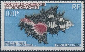 New Caledonia 1969 Sea Shells d