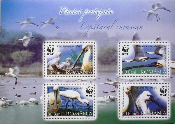 Romania 2006 WWF Eurasian Spoonbill h