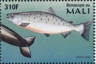 Mali 1997 Marine Life zg