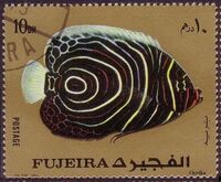 Fujeira 1972 Exotic Fishes a