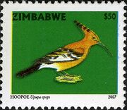 Zimbabwe 2007 Birds from Zimbabwe a