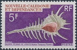 New Caledonia 1969 Sea Shells b