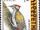 Ethiopia 1989 Abyssinian Woodpecker - Definitives w.jpg