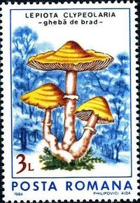 Romania 1986 Mushrooms d