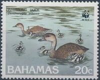 Bahamas 1988 WWF - West Indian Whistling Duck c