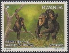 Rwanda 1988 Primates of Nyungwe Forest a