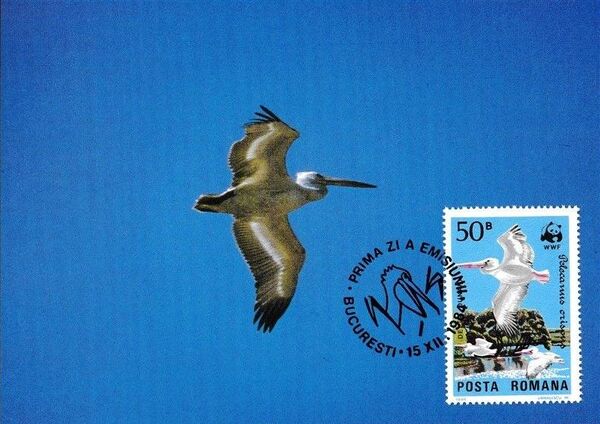 Romania 1984 WWF - Pelicans of the Danube Delta MCa