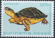 Surinam 1982 Turtles h