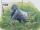 Congo, Democratic Republic of 2002 WWF Gorillas e.jpg