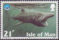 Isle of Man 1998 Year of the Ocean - Marine Mammals b