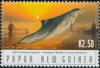 Papua New Guinea 2003 Protected Species - Dolphins e