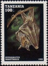 Tanzania 1995 Bats b