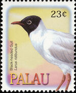 Palau 2002 Birds k