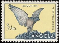 Angola 1951 Birds from Angola j