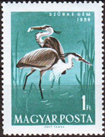 Hungary 1959 Water Birds f
