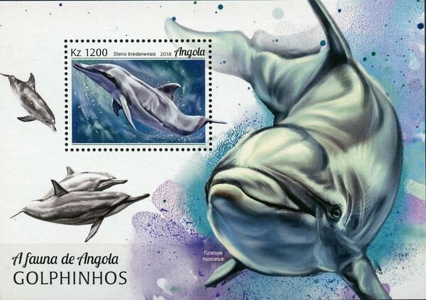 Angola 2018 Wildlife of Angola - Dolphins SSa