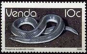 Venda 1986 Reptiles j