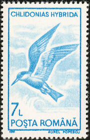 Romania 1991 Water birds j