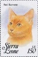 Sierra Leone 1993 Cats of the World i