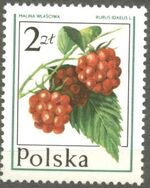 Poland 1977 Forest Fruits e