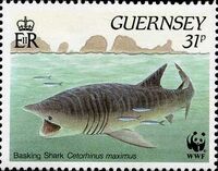 Guernsey 1990 WWF Marine Life c