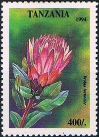 Tanzania 1995 Wild Flowers g