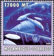 Mozambique 2002 The World of the Sea - Whales 1 b