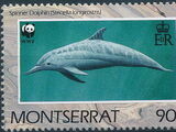 Montserrat 1990 WWF Dolphins