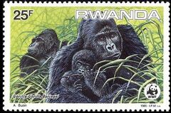 Rwanda 1985 WWF Mountain Gorilla c