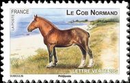 France 2013 Draft Horses of our Regions b