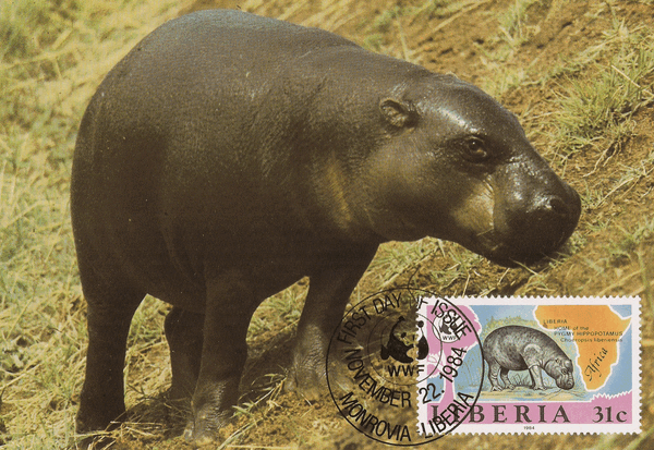 Liberia 1984 WWF - Pygmy hippopotamus MCd