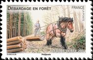 France 2013 Draft Horses of our Regions l