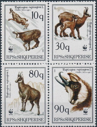 Albania 1990 WWF - Chamois MCa