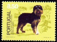 Portugal 1981 50th anniversary of the Portuguese Kennel Club b