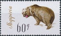 Albania 1965 Brown Bear h